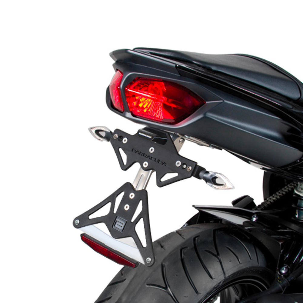 SUPPORT DE PLAQUE YAMAHA FZ8
