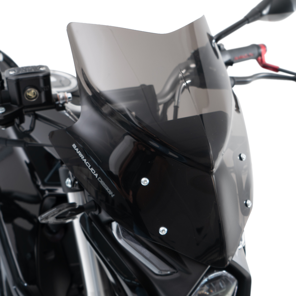 WINDSCHERM AEROSPORT