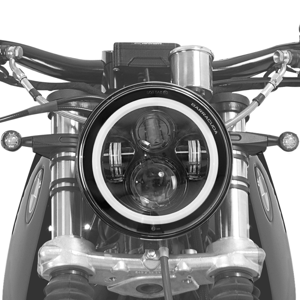 DRAGON LIGHT KOPLAMP